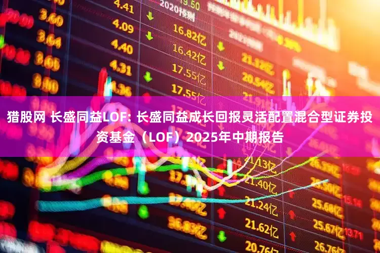 猎股网 长盛同益LOF: 长盛同益成长回报灵活配置混合型证券投资基金（LOF）2025年中期报告