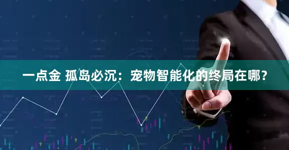 一点金 孤岛必沉：宠物智能化的终局在哪？